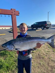 Photograph of a pink salmon caught by a person fishing in Gold Beach