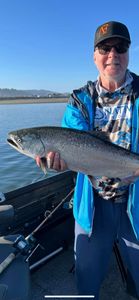 Photograph of a rainbow trout, 16-inch fish caught while fishing in OR