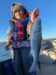 A striped bass caught on a fishing trip in Gold Beach