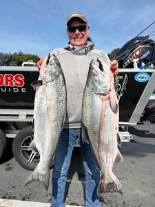 Two rainbow trout caught while fishing in Gold Beach