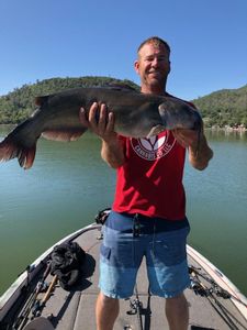 White Catfish caught in OR