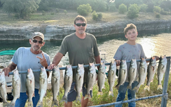 Bluefish, 15 fish caught in Clifton