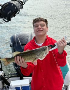 Largemouth bass caught in TX