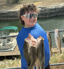 Image of 4 striped bass caught in Clifton