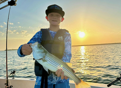 Striped bass caught fishing in Clifton