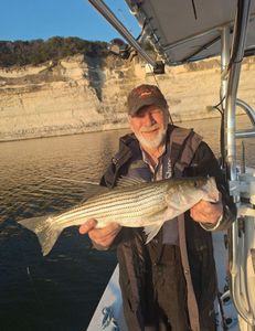 A striped bass being held by a fisherman in Clifton