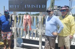 7 spanish mackerel and bluefish caught while fishing in FL