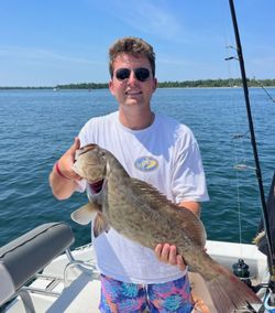 A lone gag grouper caught while fishing in Florida