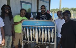 Three Cero Mackerel and Atlantic Mackerel fish caught in FL