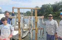 7 Cero Mackerel and Bluefish caught during fishing tours in Panama City