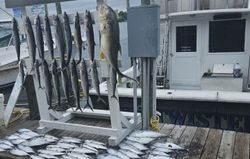 Six spanish mackerel and king mackerel caught during fishing trip in Panama City
