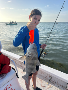 Deep sea jigging pays off with a sleek Black Drum catch!