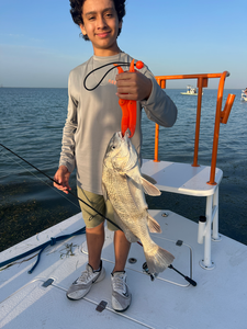 Reeling in the best Black Drum on a crystal clear day!