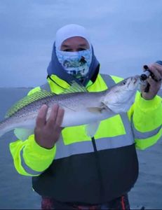 Angling in Texas style