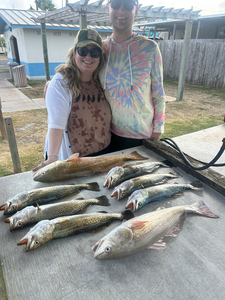 Caught a good haul today!