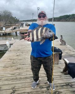 Sheepshead Casting in Texas paradise