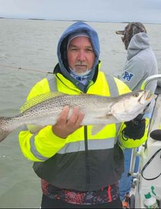 December Texas Size Trout