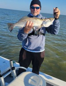 Texas waters, big Redfish.