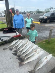 Fish-Species