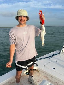 Fish-Species
