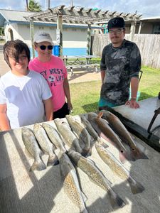 Fish-Species
