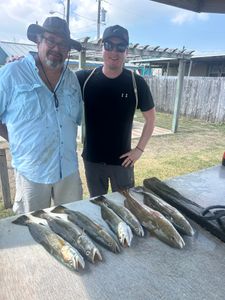 Fish-Species