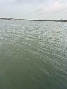 Catching the big ones with deep sea jigging in the Lone Star State!