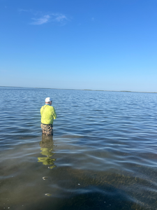 Perfect conditions for deep sea jigging and light tackle fishing today!