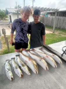 Caught a couple spotted weakfish while deep sea jigging light tackle in South Padre Island!