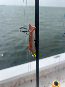 Hooked and reeled in a nice catch.