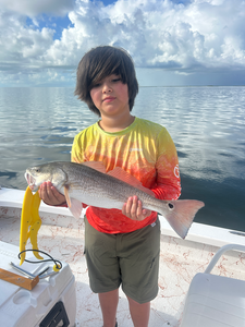 Nice redfish caught using deep sea jigging and light tackle at South Padre Island!