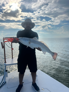 Nice redfish using deep sea jigging and light tackle techniques!