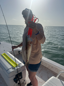 Hooked a feisty Redfish while deep sea jigging in perfect conditions!