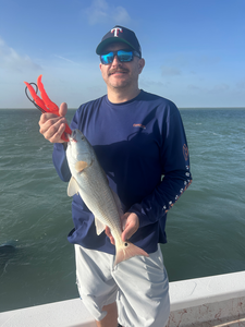 Deep sea jigging pays off with a prized redfish catch!