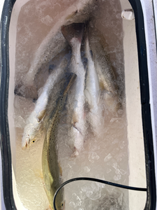 Clear skies and deep sea action: the perfect recipe for fishing bliss at South Padre!