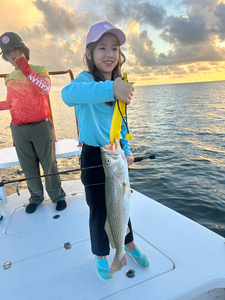 Nice speckled trout on light tackle! Deep sea jigging paid off today.
