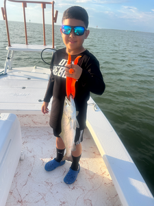 Nice speckled trout caught using deep sea jigging techniques off South Padre Island!