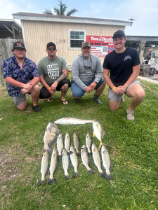 Fish-Species