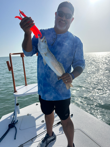 Hooked a speckled weakfish while deep sea jigging in Texas!