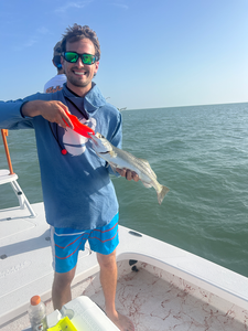 Hooked this feisty spotted weakfish while deep sea jigging off the Texas coast!