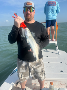A spotted weakfish caught while deep sea jigging and drift fishing in South Padre Island, TX