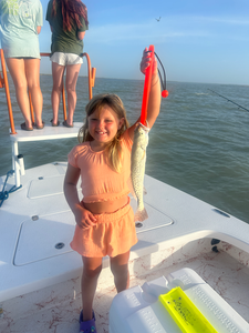 Reeled in a feisty 15-inch Spotted Weakfish on a deep sea jigging adventure in South Padre Island!