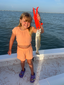 Reeled in a feisty spotted weakfish on a deep sea jigging adventure in South Padre Island!