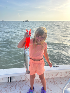Hooked a feisty Spotted Weakfish while deep sea jigging in South Padre Island!