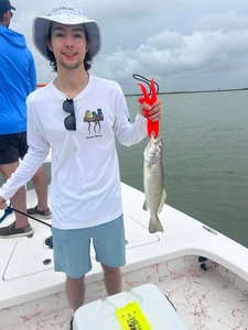 Reeled in a feisty Spotted Weakfish at Pompano Park with some deep sea jigging skills!