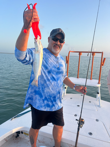 Landed a feisty Spotted Weakfish on an epic deep sea fishing adventure!