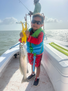 Reeled in a tasty weakfish while deep sea jigging off the Texas coast!