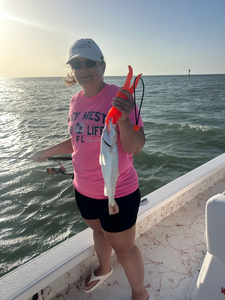 Deep sea jigging pays off with a spotted weakfish at South Padre Island!