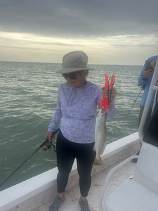 Deep sea jigging pays off with a Spotted Weakfish at South Padre Island!