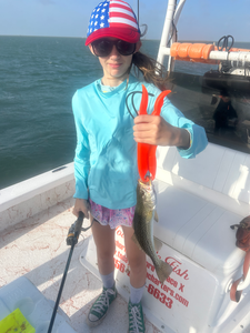 Deep sea jigging pays off with a prized Spotted Weakfish!